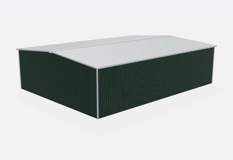 60x80x20 metal building rear view